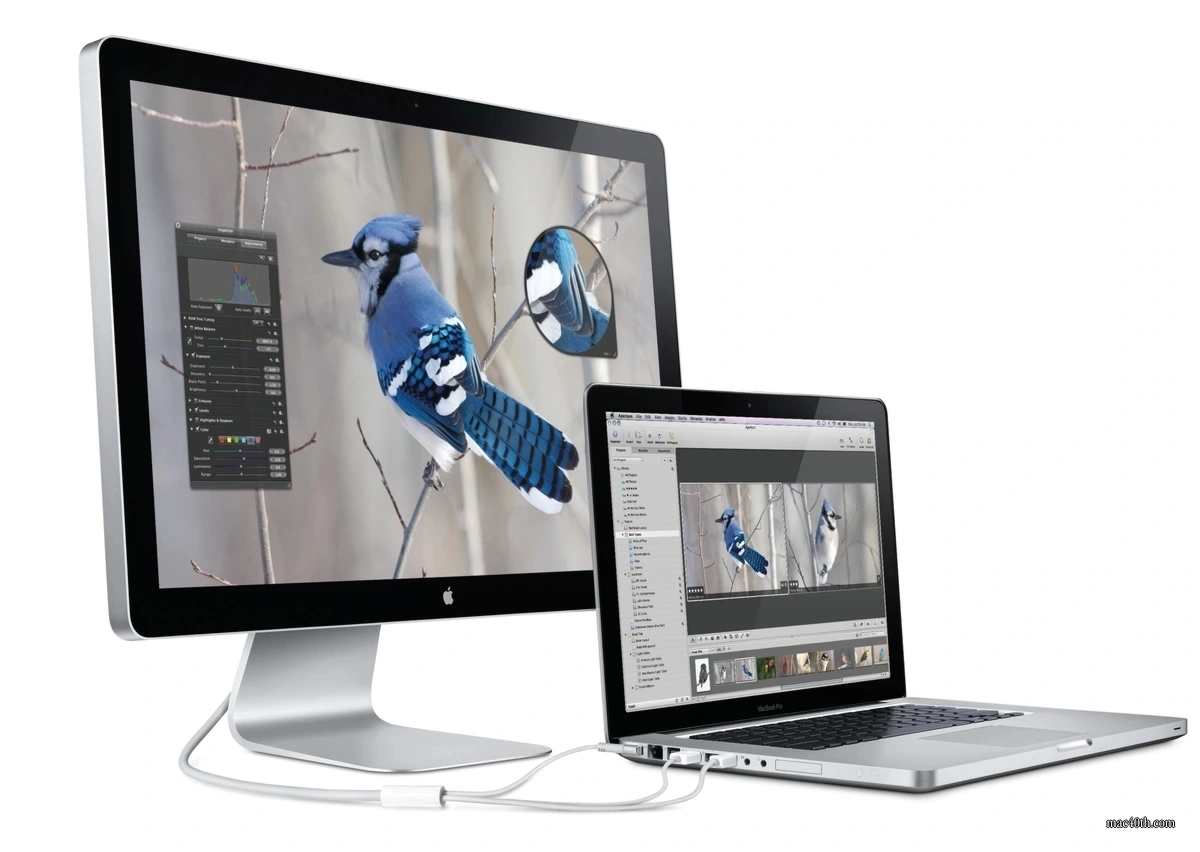 mac40th.com - LED Cinema Display (2010)